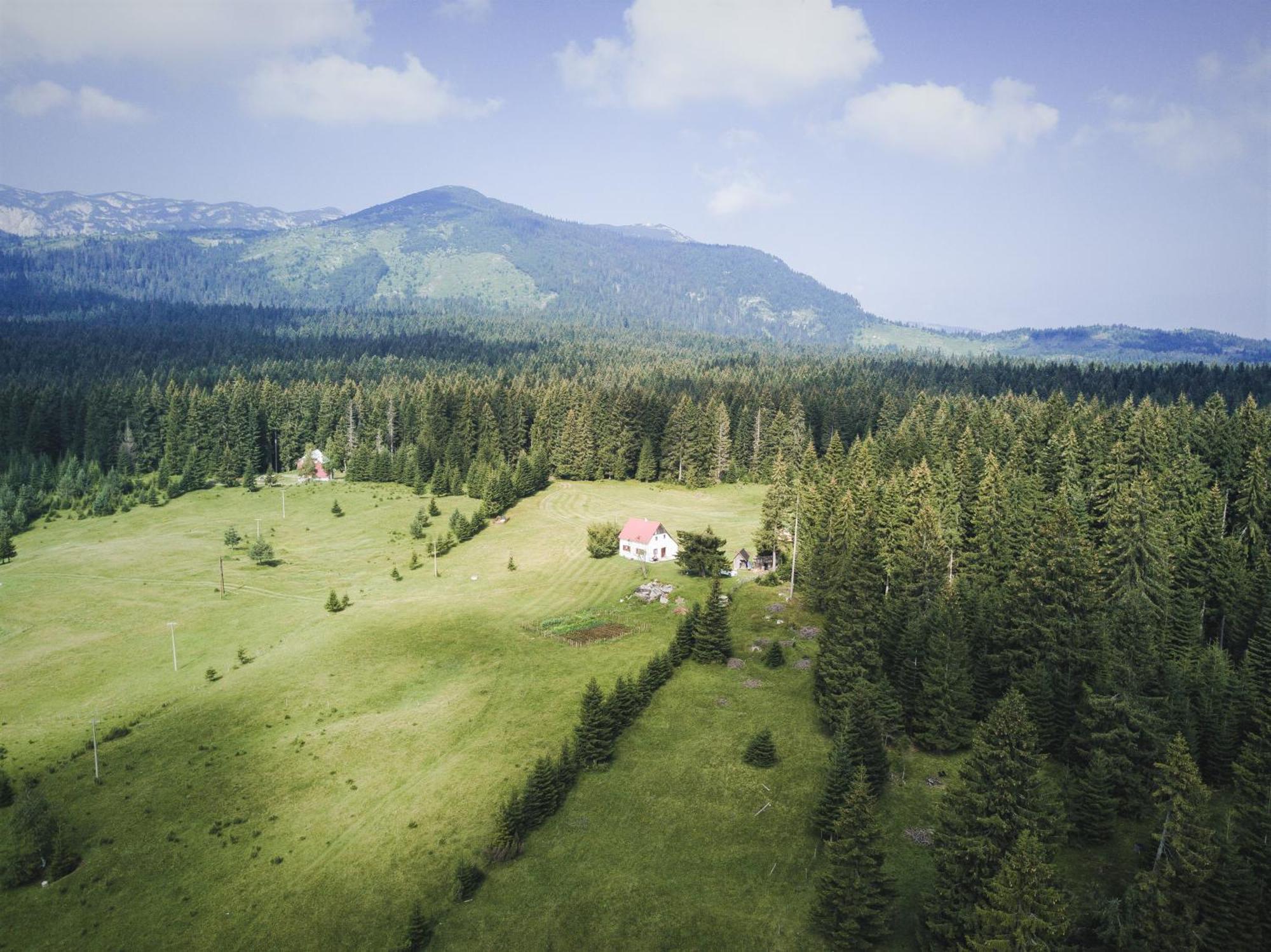 Homestay Djerkovic Žabljak Exterior foto